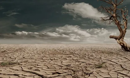 Cambio climático y salud pública: aumento de muertes por calor