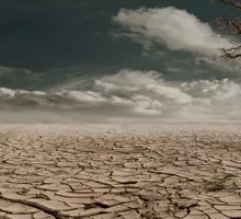 Cambio climático y salud pública: aumento de muertes por calor