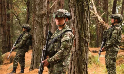 Operativo en zona rural de Tuluá contra grupos ilegales